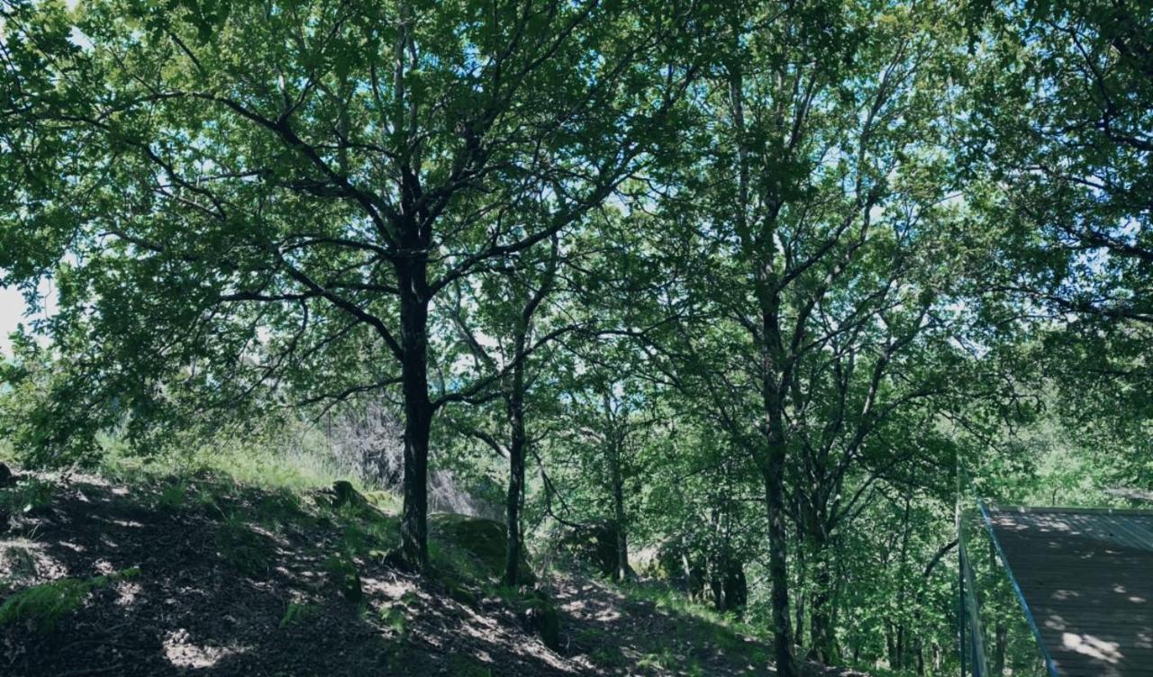 Oak Nature Vieira do Minho Ngoại thất bức ảnh
